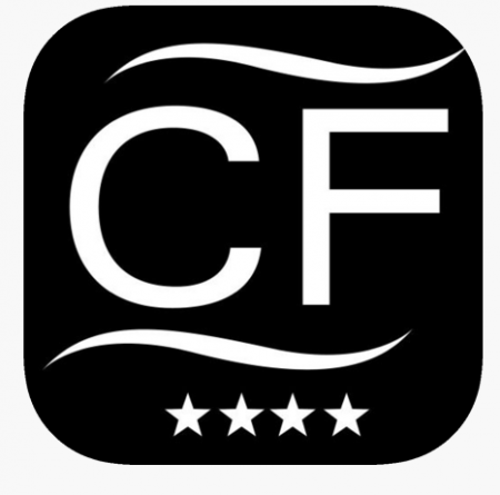 Fleet (краска в баллонах)