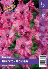 Гладиолус Строуберри Свирл, (Strawberry Swirl), 10, 3 шт., Колорлайн