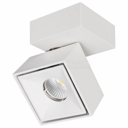 Спот Стамп CL558020N