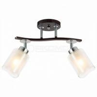 Спот Фортуна CL156122