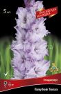 Gladiolus-Goluboj-topaz-quot-Rossijskaya-selekciya-quot-1-sht-Poisk