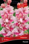 Gladiolus-Rossiya-1-sht-quot-Rossijskaya-selekciya-quot-Poisk