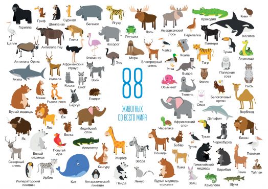 Дополнительный набор к карте мира "Мирознайка" Животные мира (88 шт.) + плакат