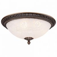 Накладной светильник Pascal C908-CL-03-R