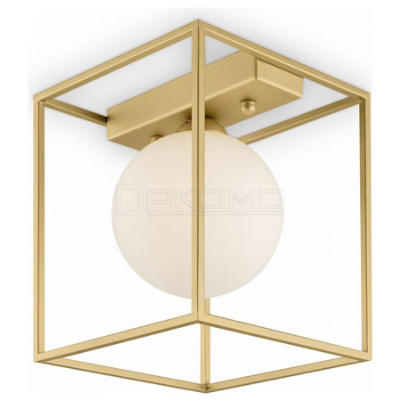 Накладной светильник Trinity FR5113CL-01G