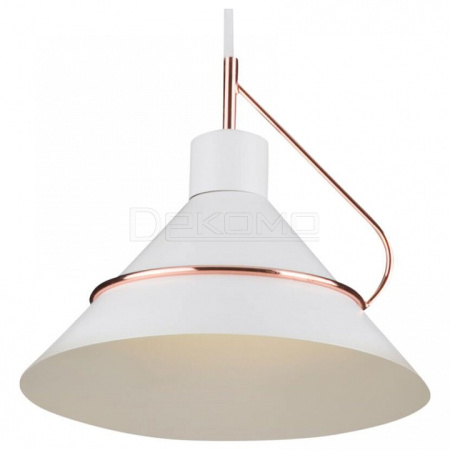 Подвесной светильник Amis FR5025PL-01W