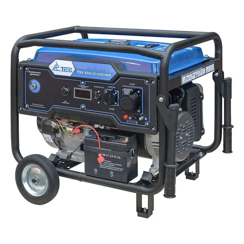 ТСС SGG 8000EHNA бензиновый генератор 160014