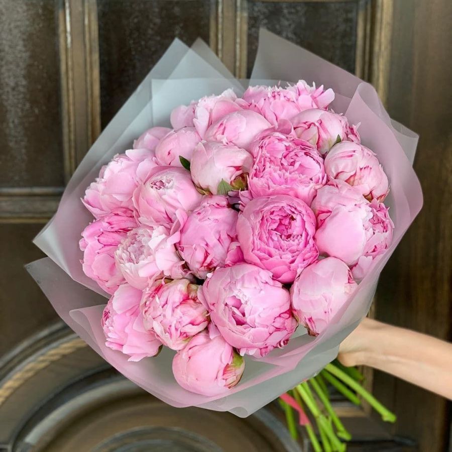 25 розовых пионов