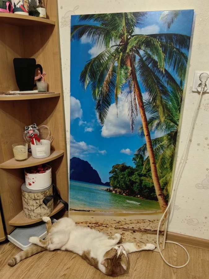 Обогреватель-картина СТЕП-340/1,2 х 0,59 4 -7 м2