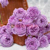 Кинда Блу (Kinda Blue)