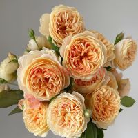 Краун Принсесс Мэргэрит (Crown Princess Margaretha)