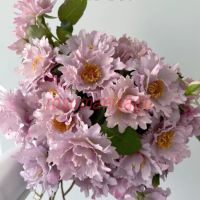 Кутюр Роз Тилия (Couture Rose Tilia)