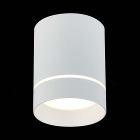 ST115.542.12 Светильник потолочный Белый LED 1*12W 4000K 840Lm Ra>90 120° IP20 D79xH100 170-240V.