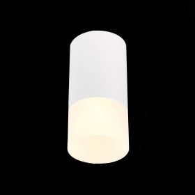 ST100.512.01 Светильник потолочный Белый GU10 1*50W IP20 D64xH131 220V Без ламп.