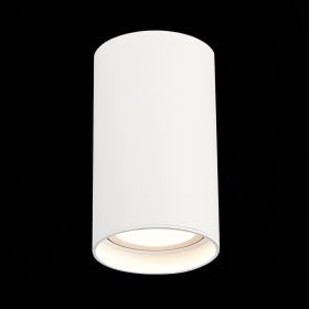 ST157.532.20 Светильник потолочный Белый LED 1*20W 3000K 1 600Lm Ra>90 60° IP44 D95xH150 220-265V.