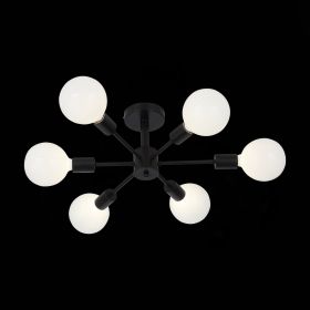 SL419.402.06 Светильник потолочный Черный E27 6*60W.