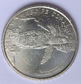 Морская черепаха Хоксбилл Коралловый риф 50 колонов Коста-Рика 2023