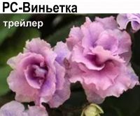 РС-Виньетка