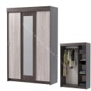 Шкаф-купе "Мираж 11" 3-х дверный с зеркалом
