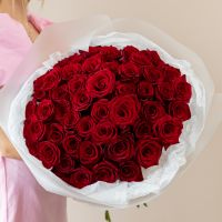 Красная роза 51шт в упаковке (60см)