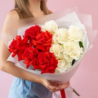 Красные и белые французы 11 шт