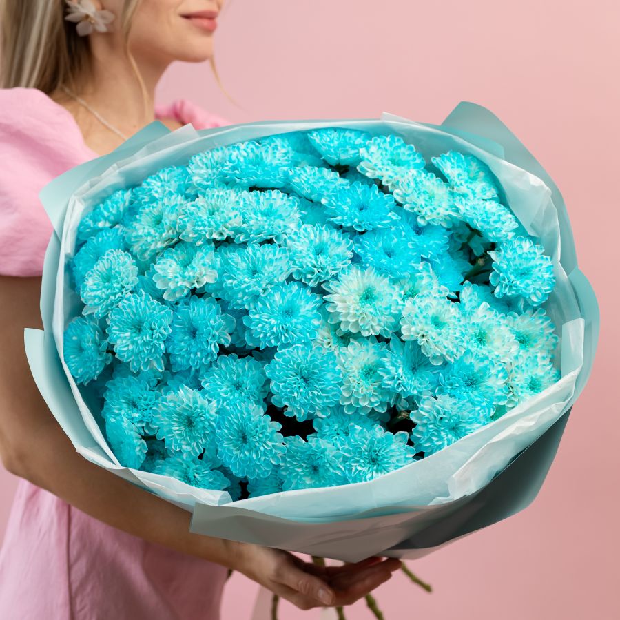 Хризантема голубая 15 шт