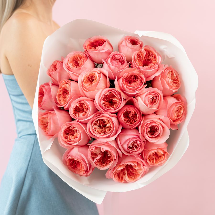 Пионовидная роза 25шт (Пинк Экспрешн)