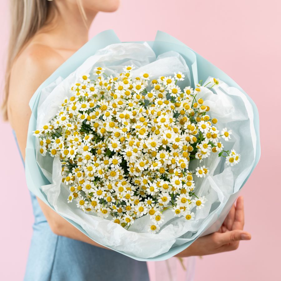 Матрикария 7 шт