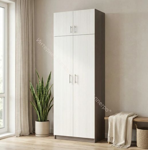 Шкаф 2-х дверный Флагман 4 с перегородкой Ясень анкор темный/Ясень анкор светлый