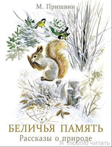 Беличья память