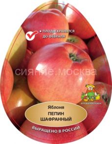 Яблоня Пепин шафранный (подвой клоновый, 54-118, полукарликовый), 1 шт., Поиск