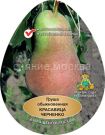 Grusha-Krasavica-Chernenko-Russkaya-krasavica-podvoj-semennoj-grusha-lesnaya-1-sht-Poisk