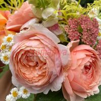 Эмбридж Роуз (Ambridge Rose)