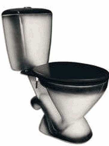 Унитаз-компакт Rosa Комфорт c 2 режимной  арматурой и сиденьем черный