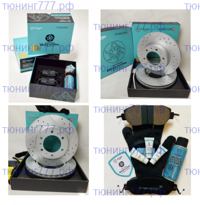 Диски тормозные и колодки Монаер "вкруг", на TANK 300 2.0T
