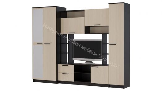 Гостиная "Александра 10" с зеркалом Венге/Млечный дуб