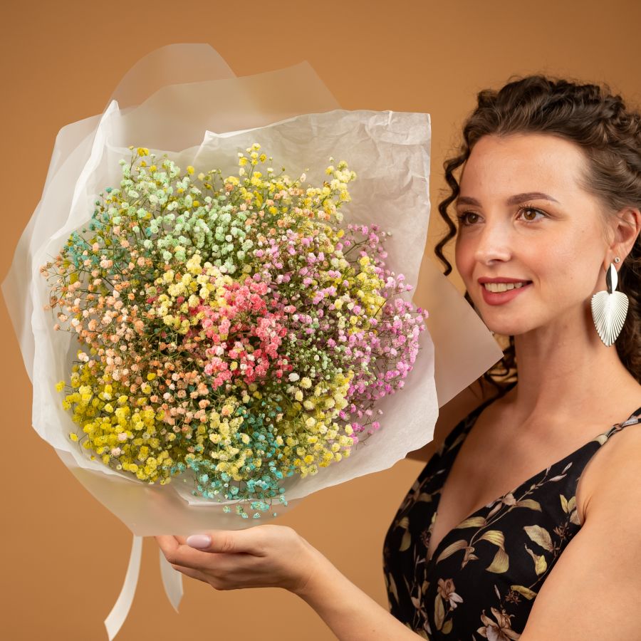 Гипсофила радужная 7 шт