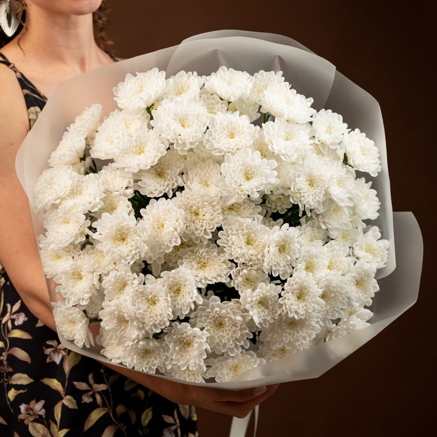 Хризантема  15 шт