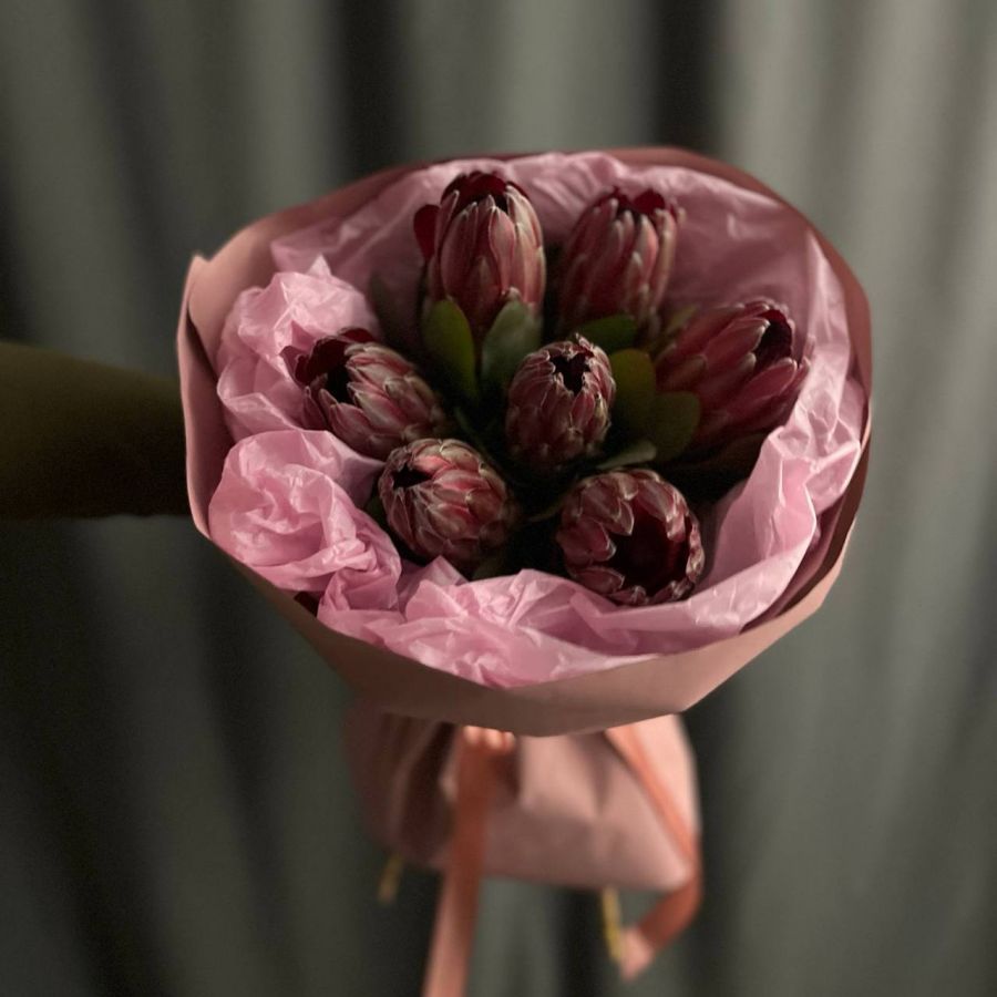 Протея (7 шт)