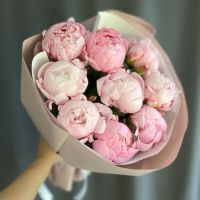 Букет из пионов 9 шт