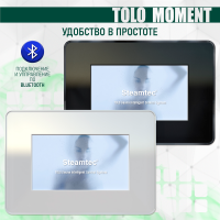 Парогенератор Steamtec TOLO MOMENT 60 - 6 кВт