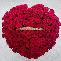 Красные розы в корзине, 151 шт