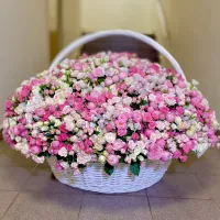 501 кустовая роза в корзине