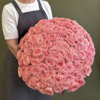 101 роза нежно-розового цвета