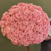 101 роза нежно-розового цвета