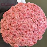 101 роза нежно-розового цвета