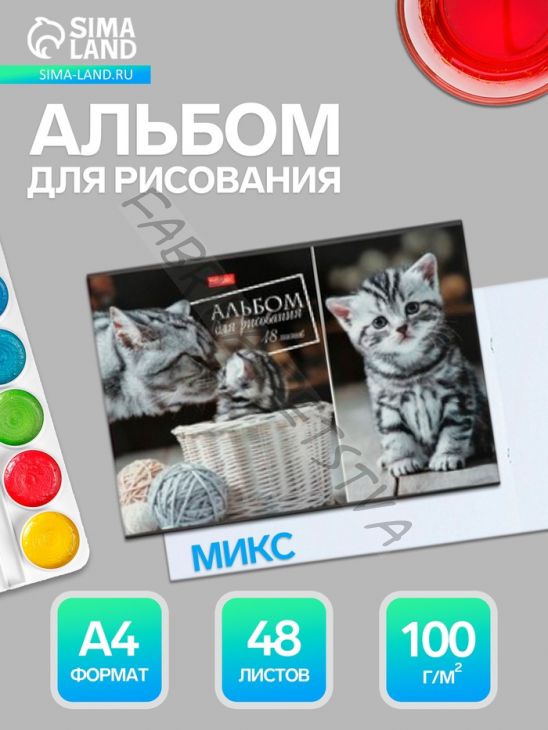 Альбом для рисования Hatber «Ассорти» А4, 48 листов, на скрепке, плотность листов 100 г/м2, обложка из мелованного картона, МИКС