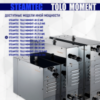 Парогенератор Steamtec TOLO MOMENT 90 - 9 кВт
