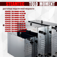 Парогенератор Steamtec TOLO MOMENT 150 - 15 кВт