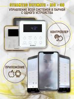 Парогенератор Steamtec TOLO AIO 30 - 3 кВт